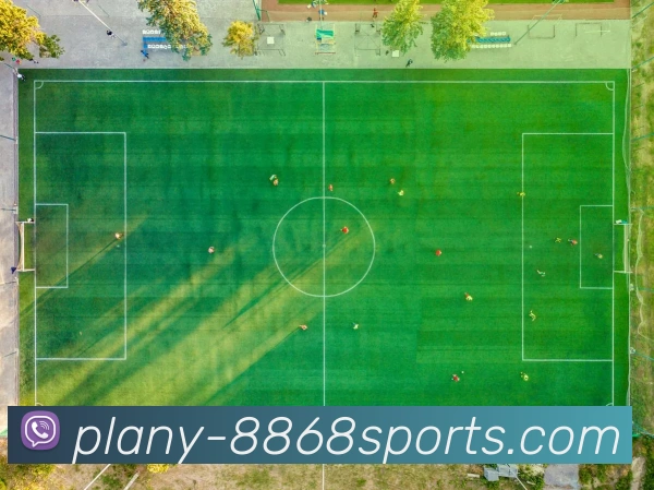 8868体育APP 封面图